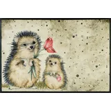 Wash+Dry Fußmatte Spike cm