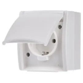 Busch-Jaeger Schuko-Steckdose mit Klappdeckel 20 EW-54