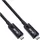 InLine USB-C 3 m Schwarz
