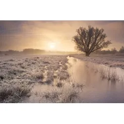 Fototapete PAPERMOON "Winterlandschaft", bunt, B:3,00m L:2,23m, Vlies, Tapeten
