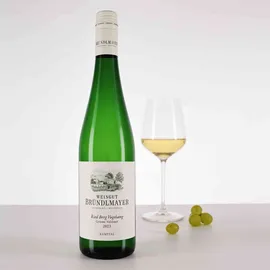 Weingut Bründlmayer Grüner Veltliner Berg Vogelsang 2023 0,75 l