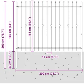 vidaXL Spießzaun 200 x 200 cm Schwarz/Stahl