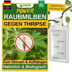 Green Guardia Raubmilben gegen Thripse zum Aufhängen oder Streuen: 1 Tüte