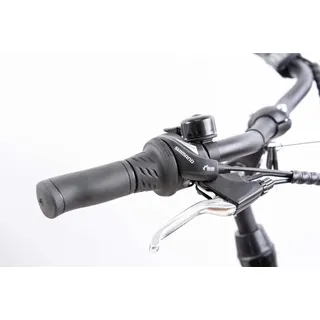 Schiano Ride 28 Zoll RH 48 cm Damen Herren schwarz