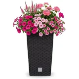 Prosperplast Blumentopf in Rattan-Optik Pflanzkübel Mit Einsatz | 26,5 X 26,5 X
