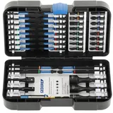 Gedore Torsions Bitset 1/4" 42-tlg. 3100316