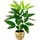 i.ge.a Kunstpflanze Schefflera im Wasserhyazinthentopf, ca. H48 cm, Grün