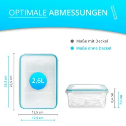 astor24 4er Set Frischhaltedose 2,6 L Gefrierdosen Vorratsdosen Aufbewahrung Küche Brotdose Behälter