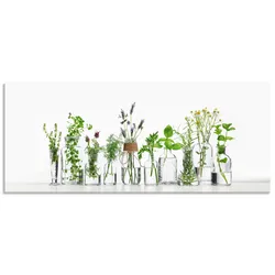 Küchenrückwand ARTLAND "Öle mit Kräutern", grün, B:160cm H:65cm, Aluminium, Spritzschutzwände, Alu Spritzschutz mit Klebeband, einfache Montage