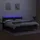 vidaXL Boxspringbett mit Matratze & LED Schwarz 180x200 cm Stoff