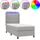 vidaXL Boxspringbett 100 x 200 cm Hellgrau