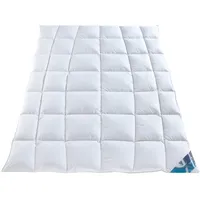hyggehome Daunendecke Hjemme medium, 90% Daunen 10% Federn 135x200 cm