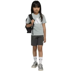 adidas Essentials T-Shirt - Shorts Set LK BL T-SET 160 KD6004 - wonder sage/white 128
