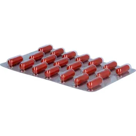 Dr. Loges Ashwagandha Plus Kapseln 120 St