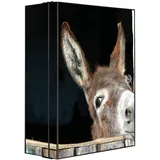 Banjado XXL Medizinschrank Abschliessbar 35x46x15cm Arzneischrank Anthrazit Aus Metall Mit Motiv Nicki