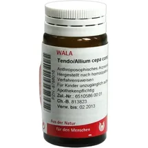 Wala TENDO/ALLIUM cepa COMP