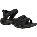black/black 36