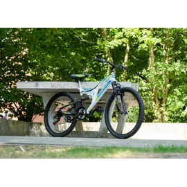 KS-Cycling KS Cycling Kinder-Mountainbike 24'' Zodiac RH 38 cm