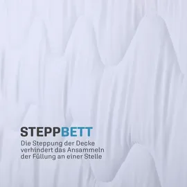 BestLivings 4 Jahreszeitenbett mit blauer Biese - 200cm x 220 cm