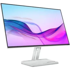 Lenovo L24i-4A 24" grau
