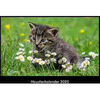 Vero Kalender Haustierkalender 2025 Fotokalender DIN A3 Tobias Becker