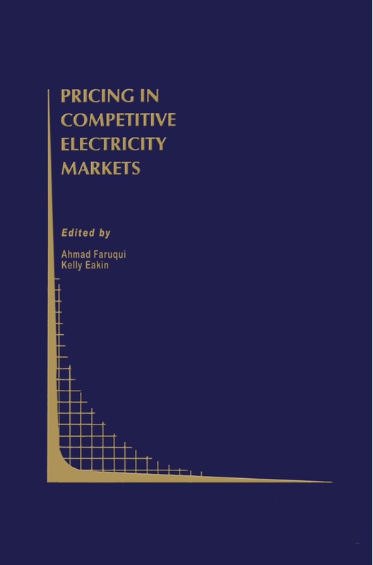Pricing In Competitive Electricity Markets, Kartoniert (TB)