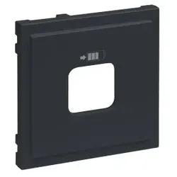 Legrand 765427 SEANO Abdeckung für USB-Ladesteckdosen A+C und C+C, Farbe: Anthrazit lackiert 0 0 1