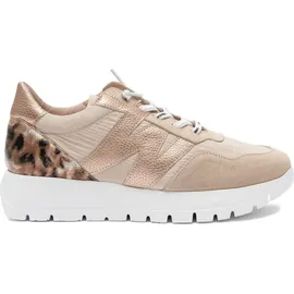 Wonders Odisei 00 Damen Weite E Beige/Rame 38