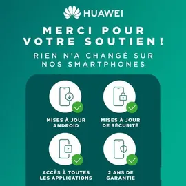 Huawei P30 Pro 8 GB RAM 256 GB aurora