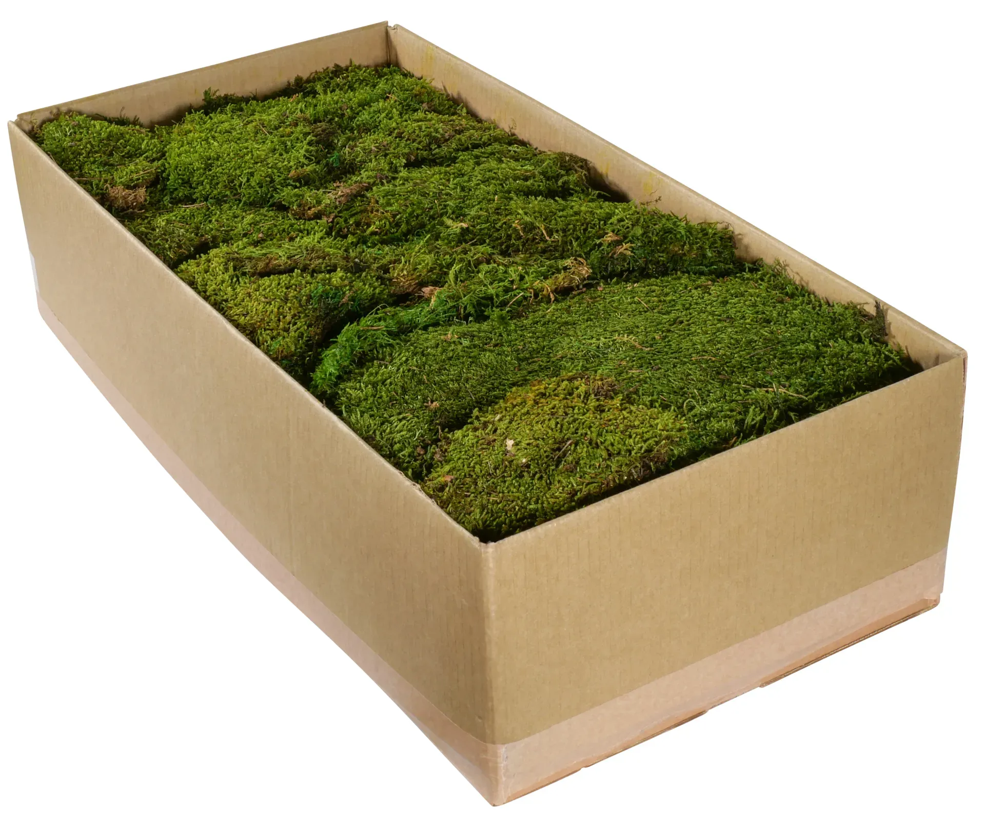 Flachmoos 3kg natur grün