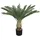 Decovego künstliche Cycaspalme, Kunstpalme Modell 9, 80 cm aus Kunststoff in Grün, Kunstpflanze für Wohn- & Büroräume, Allergikerfreundlich & Pflegeleicht