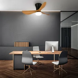 Briloner LUFITO 78 cm Deckenventilator Schwarz