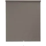 SUNLINES Springrollo Uni 102 x 180 cm grau/weiß