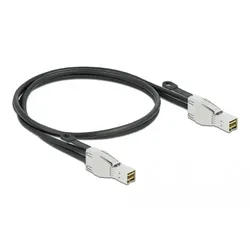 Delock Externes SAS-Kabel - SAS 32Gbit/s - Mini SAS HD (SFF-8674)