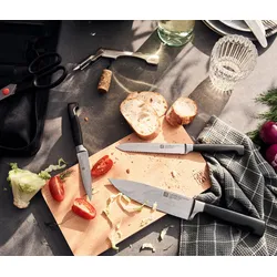Zwilling Messer-Traveller-Set - silber