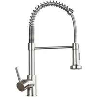 Küchenarmatur Spring Wasserhahn Küche mit Pull Down Sprüher Brause 2 Sprühmodi