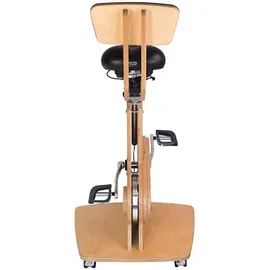 fitseat Schreibtischfahrrad Professional grün