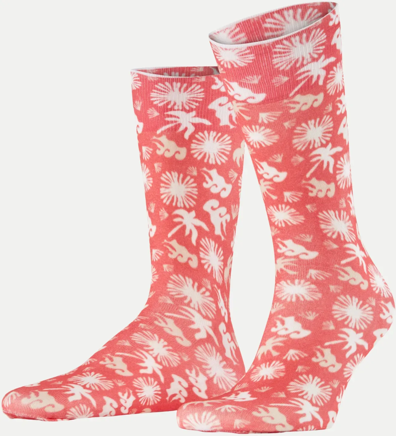 Lagoon SO Rosa 40-46