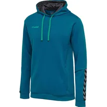 hummel Authentic Polyester Hoodie Kinder celestial 116