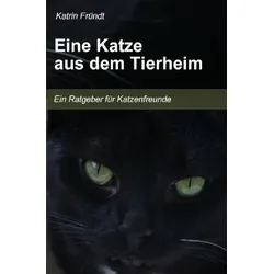 Eine Katze aus dem Tierheim