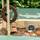 Muddy Buddy Sandkasten Jungle King (80010)