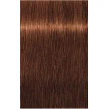 Schwarzkopf Professional Igora Royal Absolutes 6-70 dunkelblond kupfer natur 60 ml