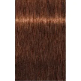 Schwarzkopf Professional Igora Royal Absolutes 6-70 dunkelblond kupfer natur 60 ml