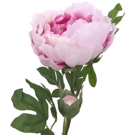 Europalms Pfingstrosenzweig Classic, pink, 80cm