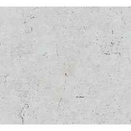 ascreation A.S. Creation Vliestapete Metropolitan Paul Bergmann Berlin Beton Grau-Beige