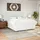 vidaXL Boxspringbett mit Matratze Weiß 180x200 cm Kunstleder
