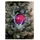 Europalms LED Snowball 8cm, rosa 5x