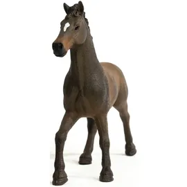 Schleich Horse Club Oldenburger Hengst 13946