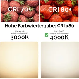 OEM LED-Lampe 6er-Pack P45 4W E14 4000K Neutralweiß