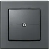 Homematic IP Wandtaster 2-fach, anthrazit